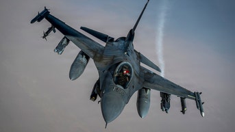 Texas Air National Guard pilot ejects safely before F-16 crash in Michigan - Fox News
