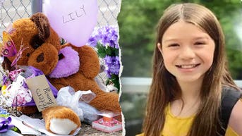 Wisconsin teen pleads guilty to murdering cousin Lily Peters, gets life in prison - Fox News