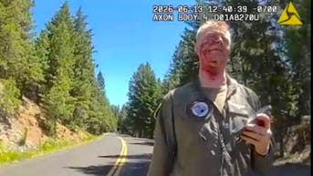 Bloodied, ejected Marine Corps pilot seen calm and collected after Washington crash destroys aircraft - Fox News