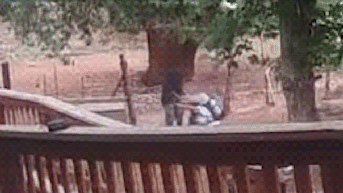 NYC mom survives neck-slash attack on hiking trip in Arizona: 'I can’t die like this' - Fox News