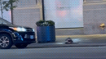 NYPD probes bizarre video of people emerging from Manhattan manhole near Penn Station - Fox News