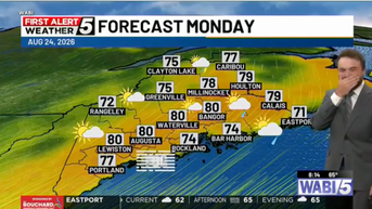 Meteorologist loses it live on air as innocent prank comes back to haunt him - Fox News
