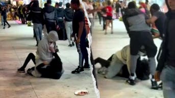 Massive brawl erupts at Wisconsin State Fair as seven arrested during chaotic closing hours - Fox News