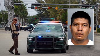 EXCLUSIVE: Illegal immigrant's hit-and-run on 'kind' elderly woman triggers ICE action: 'Could hear screaming'