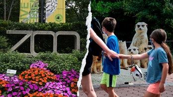 Gender equity, DEI, climate action: How the Smithsonian’s woke push ‘infiltrated’ America's most beloved Zoo