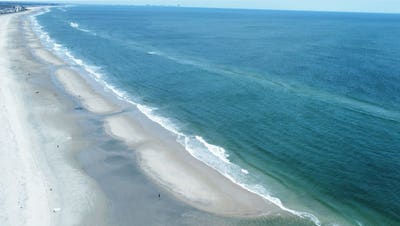 Shark expert reveals what may be behind disturbing Jersey Shore discovery - Fox News