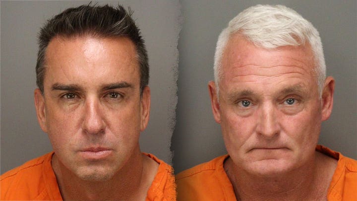 Florida business owners allegedly scattered over 1,000 mothballs on beach to send endangered species packing
