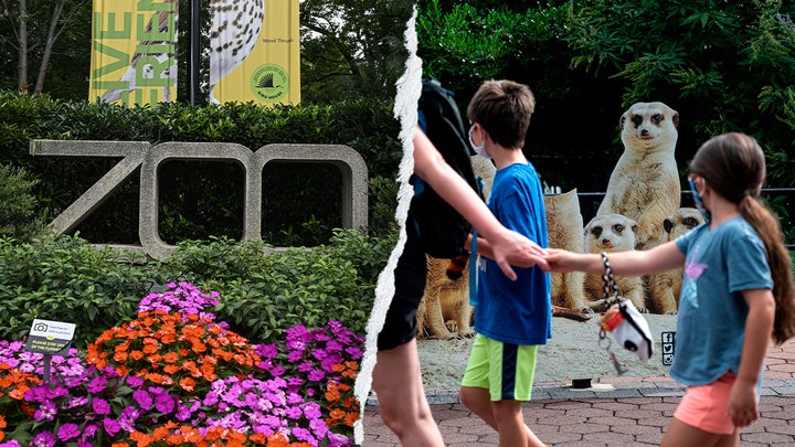 Gender equity, DEI, climate action: How the Smithsonian’s woke push ‘infiltrated’ America's most beloved zoo