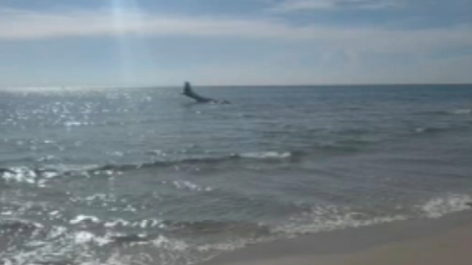 plane-inwater.png