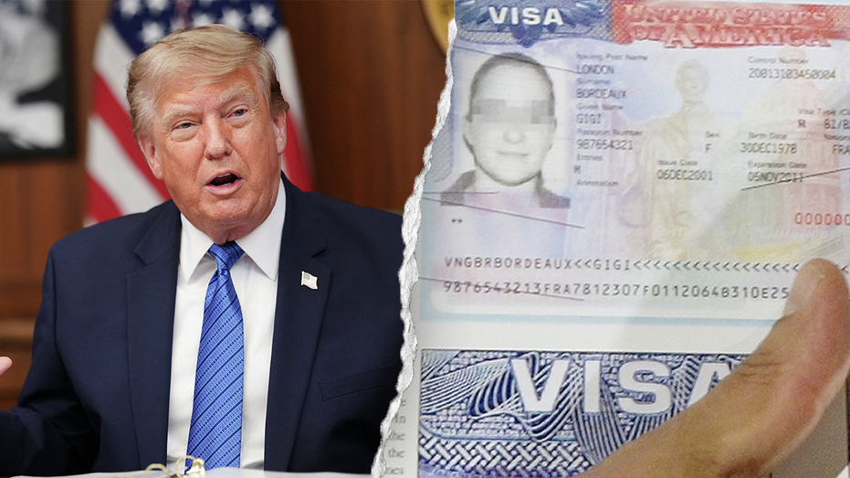 Foreign drunk drivers could face swift boot out of country under Trump's 'America first' crackdown