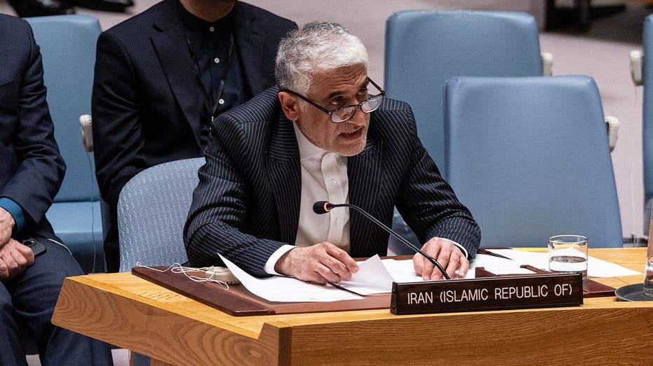 UN watchdog slams potential election of Iran to panel with human rights sway: 'Lunatics running the asylum'
