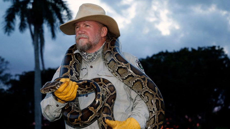 Tom Rahill captures 96 Burmese pythons in 10 days to win 2026 Florida Python Challenge