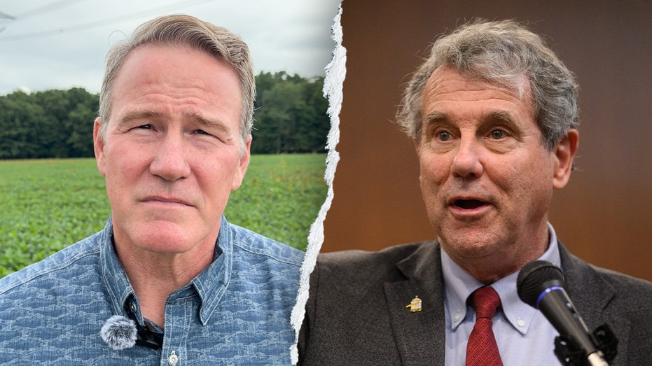WATCH: GOP senator unloads on 'creature of Washington' challenger in critical Senate showdown