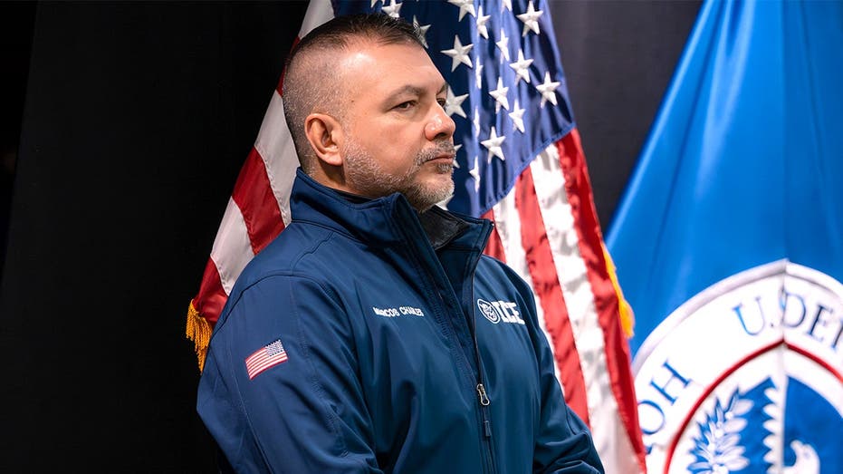 Georgia ICE sweep nabs over 700 criminal illegal aliens including sex offenders, child abusers