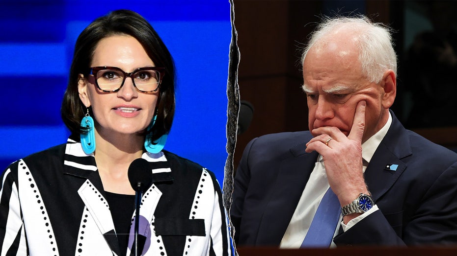 Minnesota fraud scandal will haunt Flanagan in high-stakes Senate race, top House Republican warns