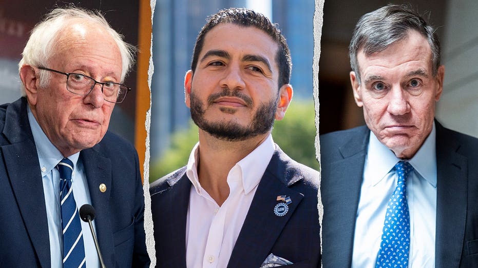 SEE IT: Dem senators rally behind El-Sayed but duck questions on progressive agenda