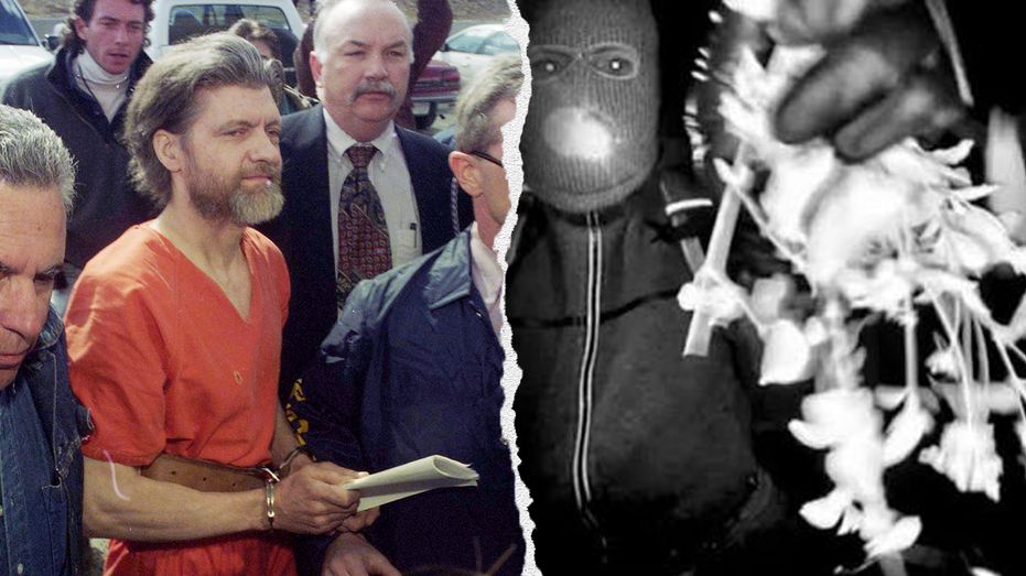 Nancy Guthrie ransom notes release follows Unabomber ‘precedent' that cracked case, expert says