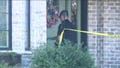 Illinois mother charged with murder in death of 2-year-old son in case drawing comparisons to Lindsay Clancy - Fox News