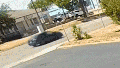 Surveillance video shows ICE chase with lights and sirens before Austin migrant shooting - Fox News