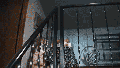 Washington homeowner hears mysterious banging, calls 911 before police find growling bobcat at top of stairs - Fox News