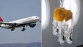 Jet plunges 27,000 feet in 10 minutes as oxygen masks suddenly drop aboard flight - Fox News