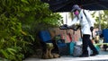 Dengue fever outbreak triggers states of emergency in 3 southern counties - Fox News