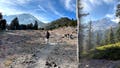 Unos excursionistas se han quedado atrapados en el monte Shasta tras confiar en la IA para planificar su viaje, según el sheriff - Fox News