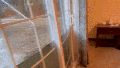 Dramatic video captures floodwaters bursting through glass doors of college students’ home - Fox News