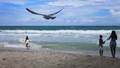 Move over, South Beach: 3 quiet Florida beach alternatives to try this Labor Day weekend - Fox News