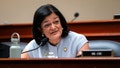 Washington Democrat claims majority of recent DHS arrestees posed 'no threat to public safety' - Fox News