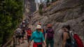 California college wrestling star Ryan George dies after 400-foot fall hiking in Yosemite - Fox News