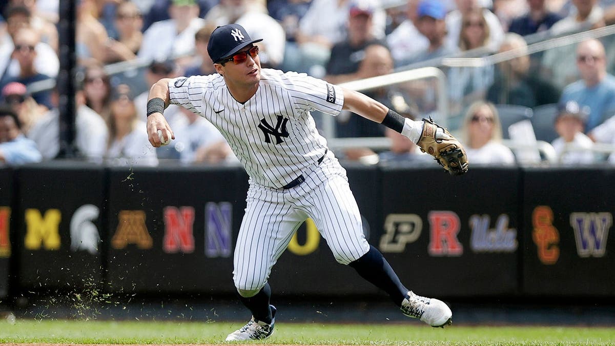Anthony Volpe of the New York Yankees stands in action at Yankee Stadium.
