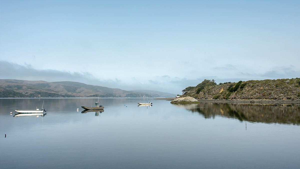 View of Tomales Bay water in California
