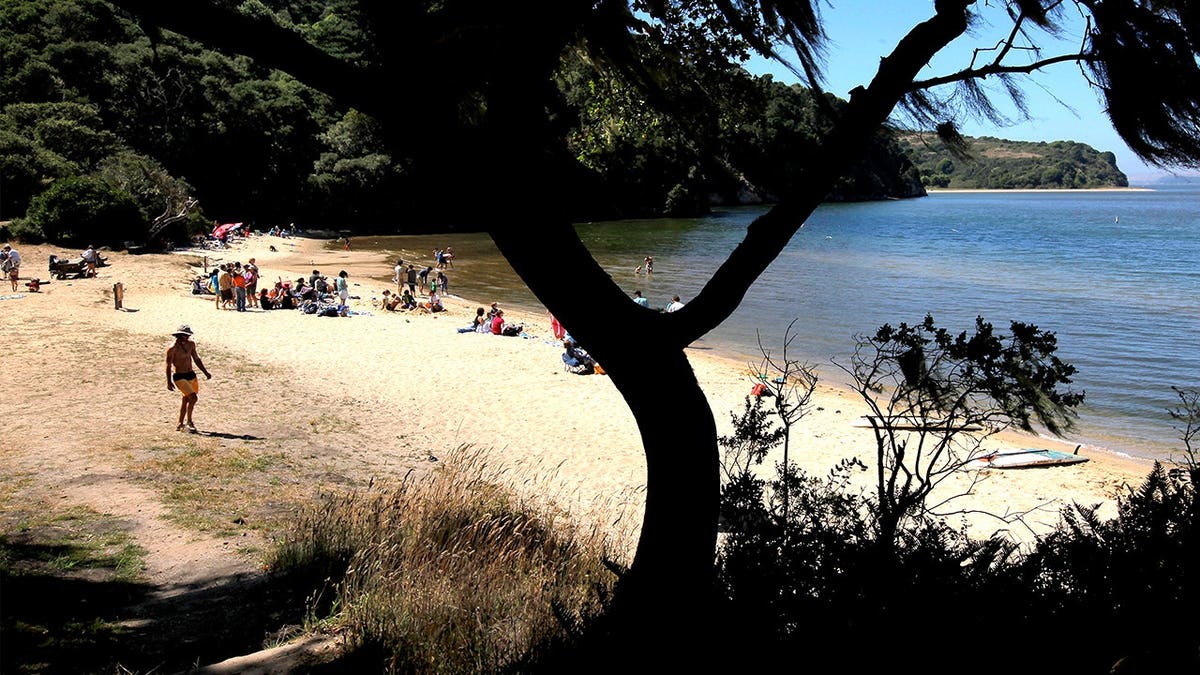 Visitors enjoying beach along Tomales Bay in California