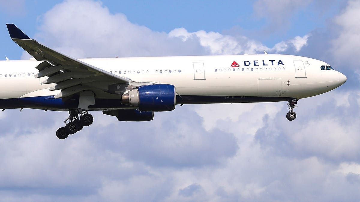 View of Delta plane in sky