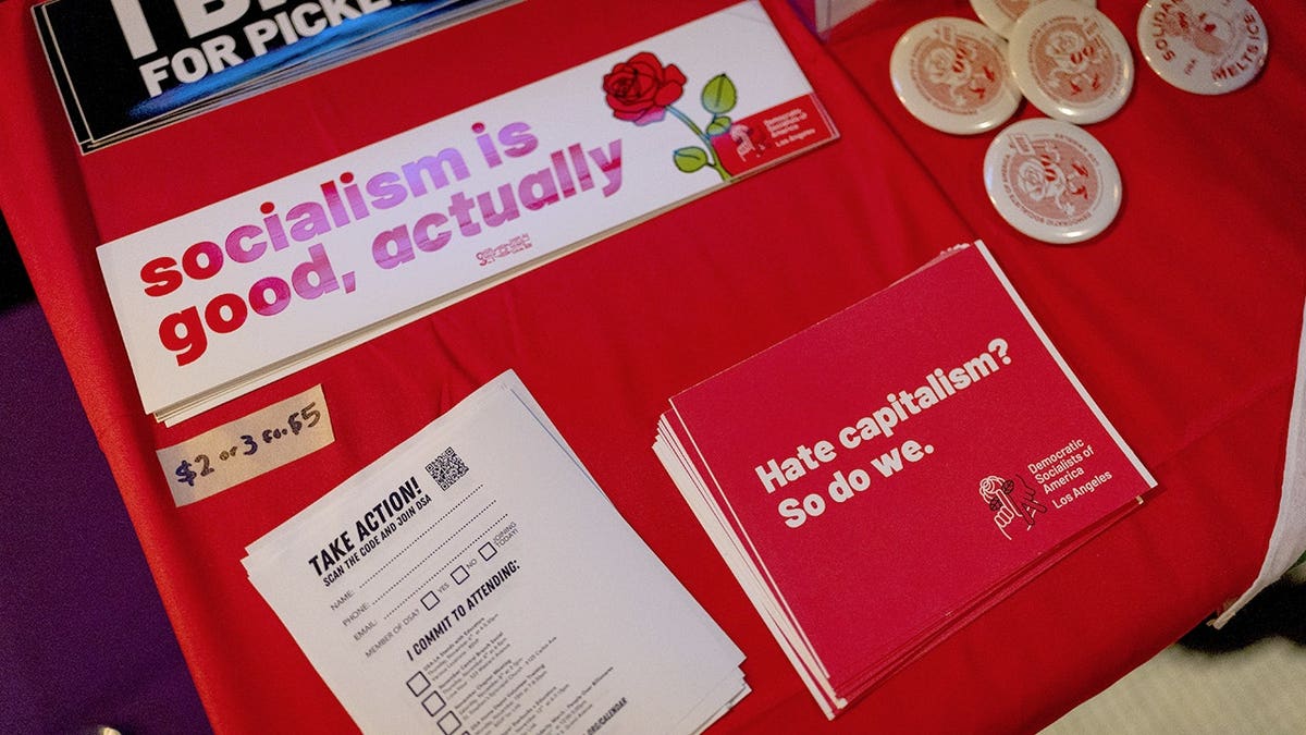 Democratic Socialists of America table with stickers and flyers