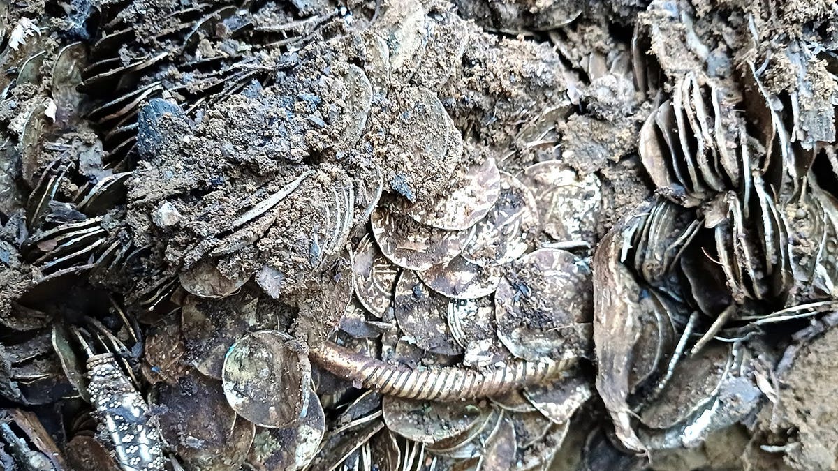 View of silver coins in mud