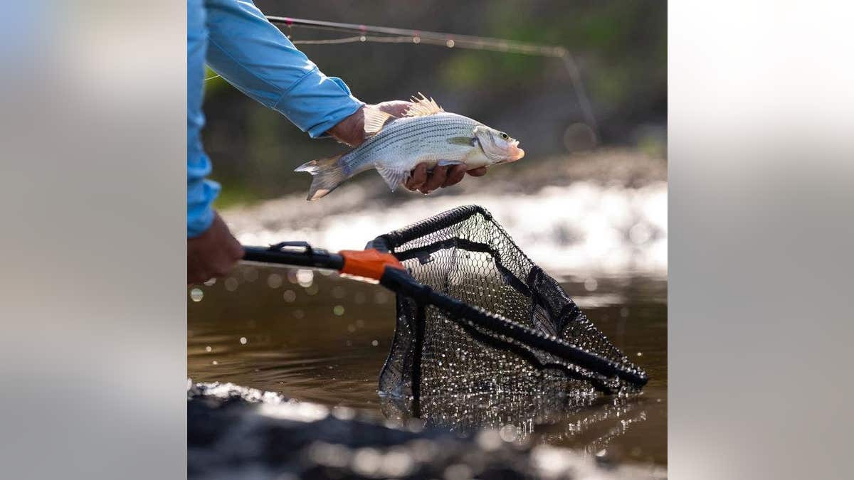KastKing Pontus Floating Fishing Landing Net