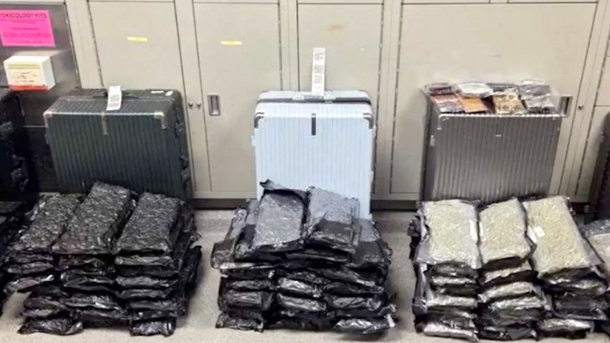 View of marijuana next to suitcases