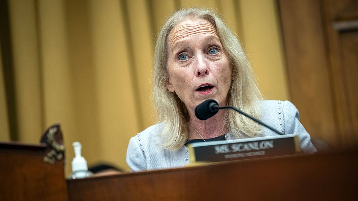 Mary Gay Scanlon of Delco at a hearing