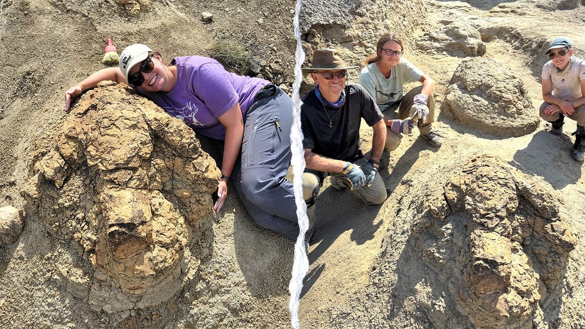 Split image of researchers posing next to T Rex footprints