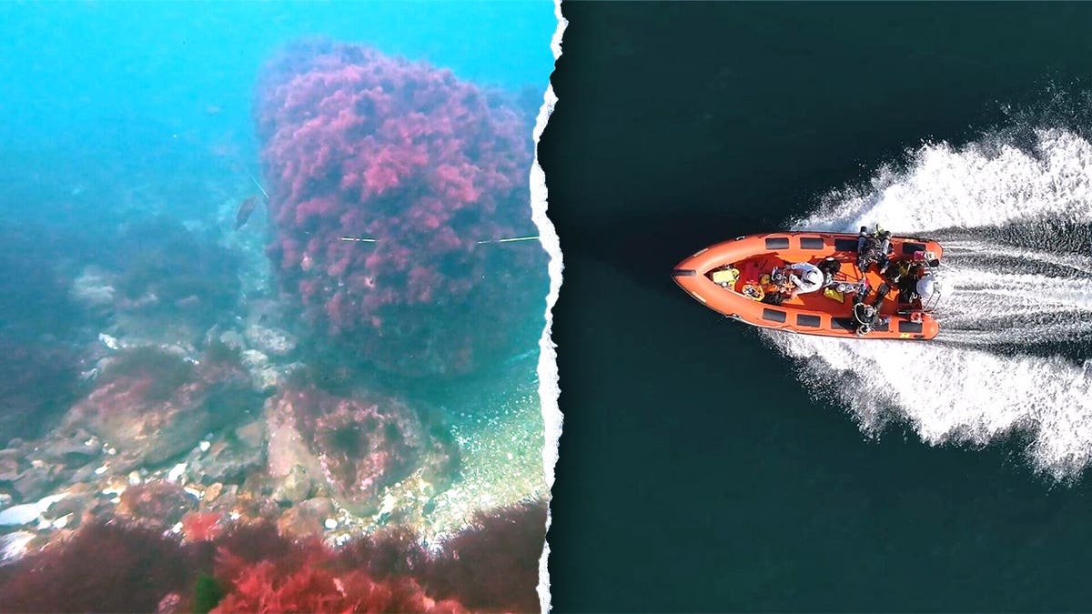 Split image of underwater structure, aerial view of divers