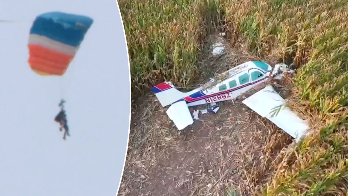 Split of skydiver and plane in cornfield