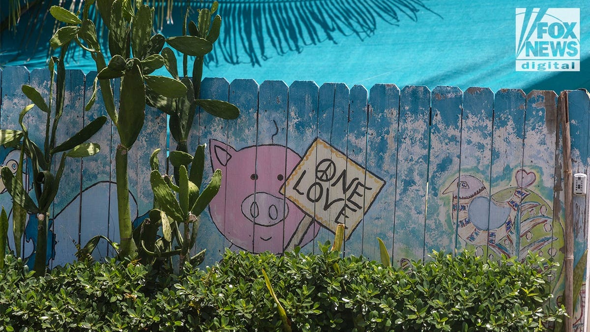 Painted pig holding a 