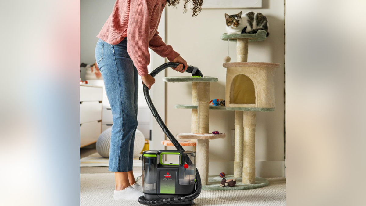 The Bissell Little Green Max Pet SmartMix includes a self-cleaning stain tool and a pet hair removal tool.