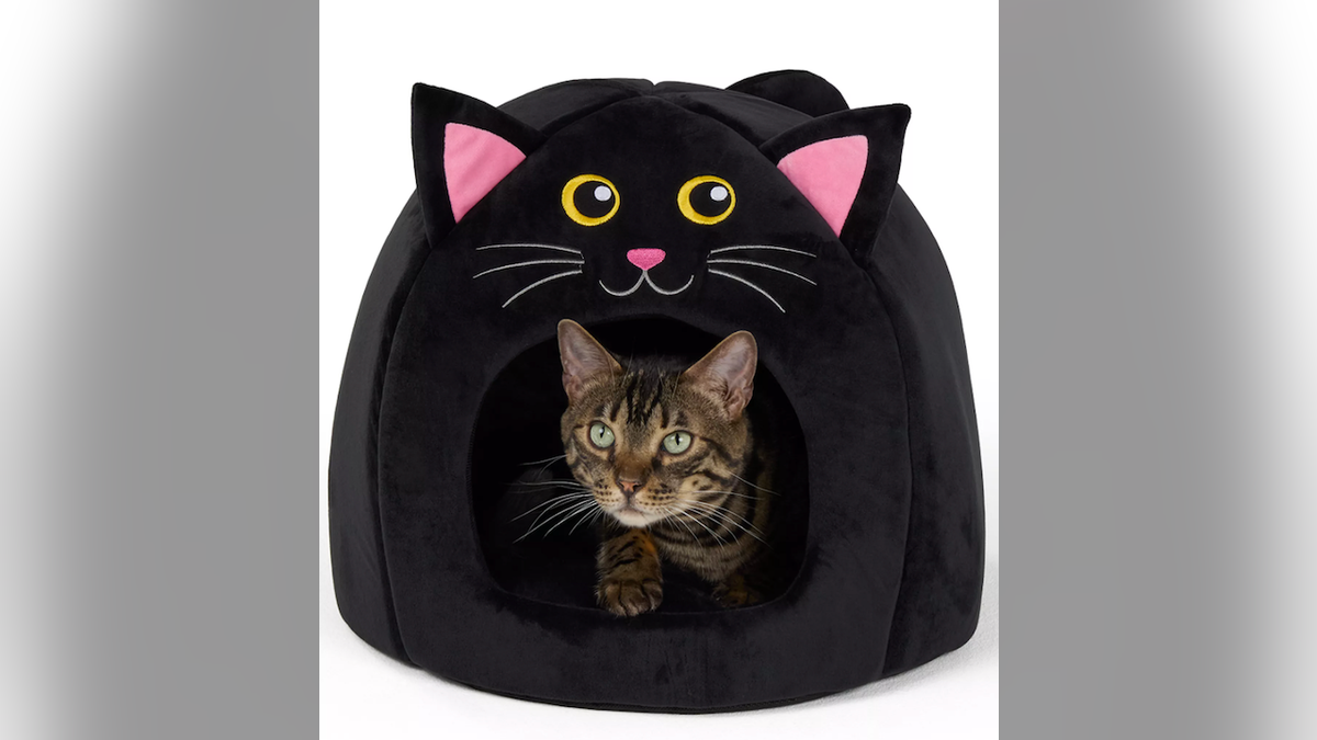 Give your pet a cozy spot to sleep.