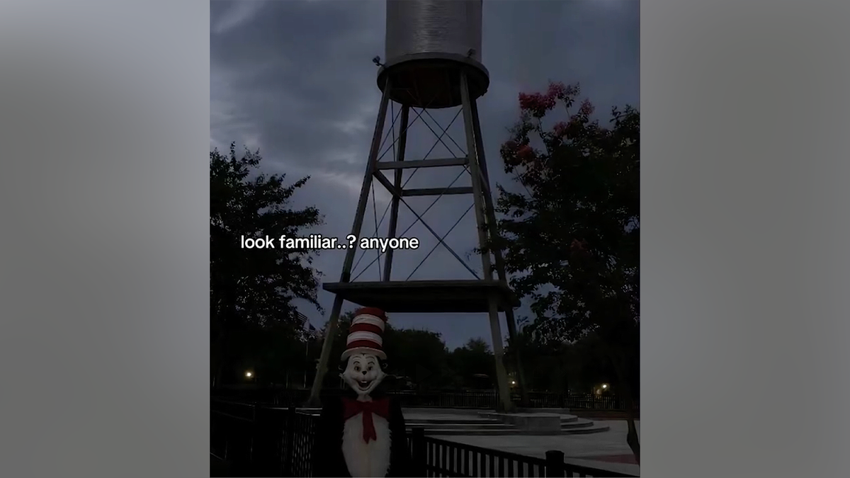 Cat in the Hat post targets familiar community landmark