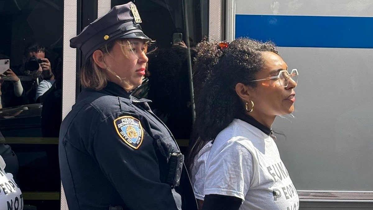 Darializa Chevalier arrested at NYC protest outside United Nations