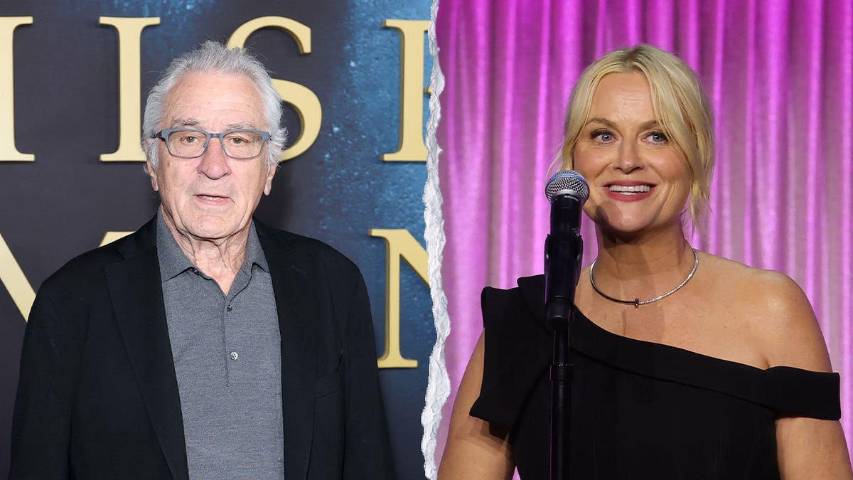 De Niro and Poehler