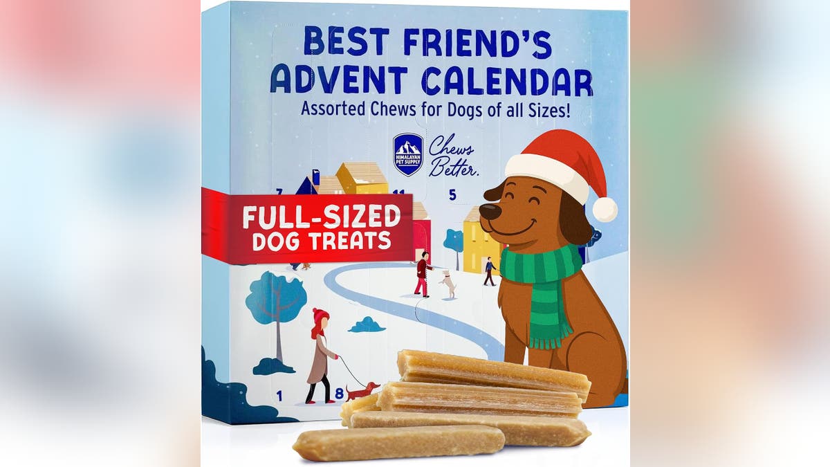 Don't forget to let your dog join in on the Christmas fun. 